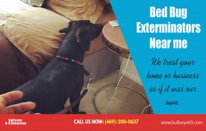 bed bug services in dallas tx