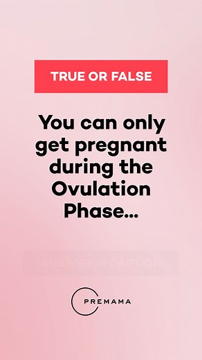 True or False: You can only get pregnant during the Ovulation Phase...​ ​ TRUE! ​ Out of the four menstrual cycle phases, the ovulation phase is the only phase when you can become pregnant. Although it only lasts one day, conception can occur during the five days leading up to ovulation, as well as the day of ovulation. This is because sperm can live in the body for up to five days. | Premama
