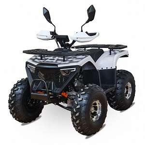 [Hot Item] Adult ATV off Road Quad ATV 110cc 125cc ATV with CE