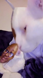 1.5K views · 70 reactions | between us, we have two brain cells | idk just surprise meme | Facebook