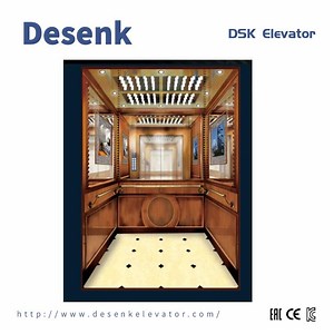 [Hot Item] China Elevator Factory Passenger Elevator for Office Building Elevator Home Elevator