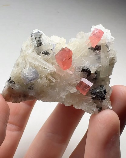 Rhodochrosite, fluorite, & tetrahedrite on quartz from the sweet home mine, Alma, park county, colorado, USA 🇺🇸 collected 1990s - available | Great Northern Minerals