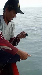 2.3K views · 29 reactions | Ikan tongkol babon #Ikan #fish #mancing #fishing #mentawaiislands | Djambrong | Facebook