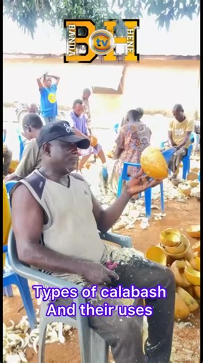 1.7K views · 61 reactions | Types of calabash, names and their uses Mr. Shadrach gives details. #bandaghana #BonoRegion #ghana #KOFITV #Oheneba | Bandahene TV | Facebook