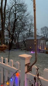 Big flakes ❄️ now as #winterstormalbatross gets going on this #FirstAlertWeatherDay | Jill Gilardi