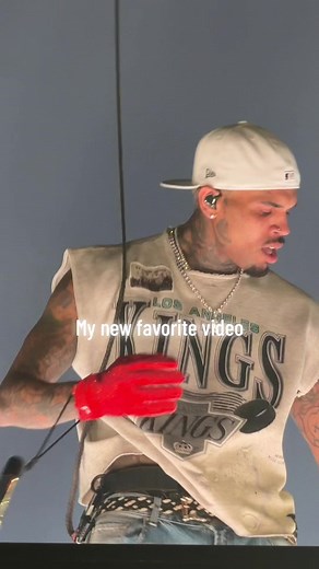 Chris Brown concert VIP view: For The Fans 2024