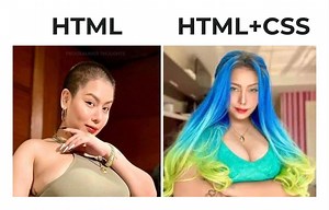 Difference between HTML & CSS | Programmer Thoughts