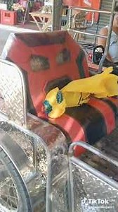 Japanese Voice Warning 🔊⚠️