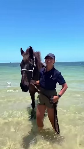 1.2K views · 18 reactions | Mozambique Horse Safari on Reels | Facebook
