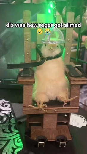 “This How Roger Got Slimed…💀” 🐥 🐣 #roger #chicken #chick #slimed #fypシ゚viral #sad