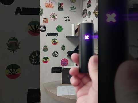Pax Plus Vapor Demo