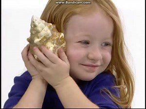 Baby da Vinci Chinese DVD Menu