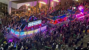 Had to post my favorite floats from Endymion, Ponchartrain Beach babeeeee! I rode the Zephyr 15 times in a row in one visit 🤘🏼🙌🏼⚜️ | Lena Prima