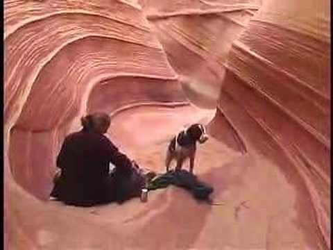 Spectacular Scenery in Utah National Parks