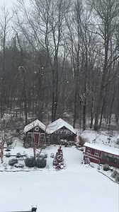 7.1K views · 440 reactions | Indoor recess for the chickens & no school for the kiddos! (Volume on for the wild birds’ 2 cents) #newengland #connecticut    #backyardchickens #petchickens #chickens #chickenkeeping #pets #animals #chickenyard #nofilter #newenglandliving #snow | The Chicken Chick | Facebook