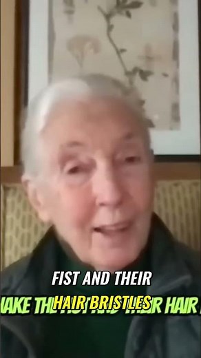 Chimpanzees vs. Humans: Crazy Parallels!