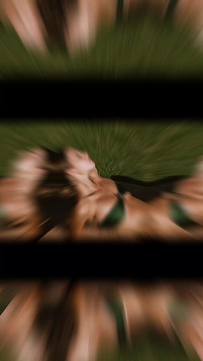 Emily feld on TikTok