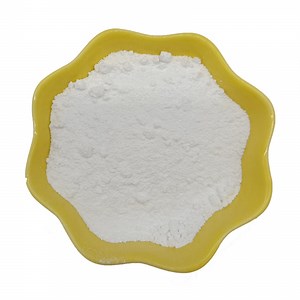 [Hot Item] Nano CaCO3 Calcium Carbonate Powder with Good Price