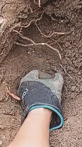 Very lucky to find GOLD with just a metal detector. | GO finder