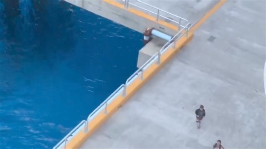 123K views · 564 reactions | OMG. This is crazy. Cruising With Carnival Cruise Line 2024/2026. These kids weren't messing around. They left the parents in the dust.‍♀️‍♂️ Video courtesy by Dana Griffith . Cruise Lines Pier Runners. @followers | CCL MIAMI BLOG | Facebook