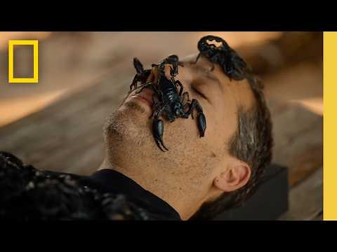 David Blaine Do Not Attempt | Sneak Peek | National Geographic