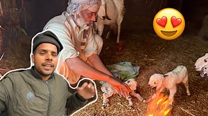 15K views · 910 reactions | Bakri Ne Baby De Diye  Twins | Saqlain Ali Vlog | Facebook