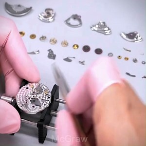 7.6K views · 562 reactions | Rolex Log Immersive Repair and Maintenance Whole Process #craftsman #video #watch #repair #asmr | McGraw | Facebook