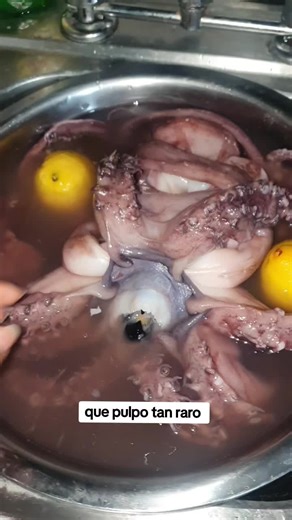 VIRAL: Mujer descubre extrañas características de un “pulpo” que resultó ser un calamar Humboldt