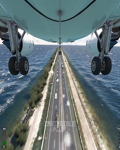 Beautiful Landing At Tampa International Airport | Invincible Pilot