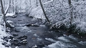 2.2K views · 390 reactions | Winter Wonderland | Indian Creek Campground | Facebook