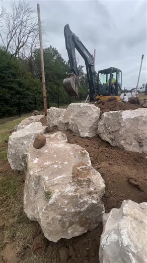We're Getting a Huge Pond in the Aviary! #pond #aviarypond #construction | White House on the Hill