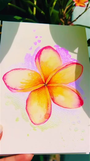 Dani Miles on Instagram: "Now that the sun has come out (finally) I am able to show the true power and beauty of @cvartcolours Ghost Chameleon watercolour. The colour used here is “Raine” which is one of 6 colours in the sets. Perfect for highlights and painting on top of darker areas, giving you a totally different colour. If you want 15% off your order, use DANIEM25 at checkout #plumeria #instaart #cvartcolours #watercolour #chameleon"