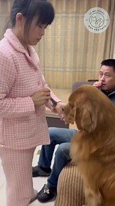 92K views · 5.3K reactions | Là cha phải làm gương cho con  | Yêu Alaska | Facebook