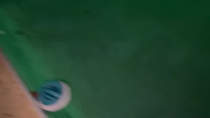 Budweiser frogs partying In my pool everynight this week since the heavy rains #frog #frogs #swimming #swimmingpool | Tornado Tacklers