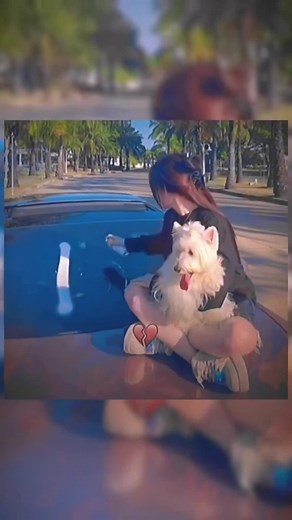 #mrbombastic #positivity #magic #trending #bestfunny