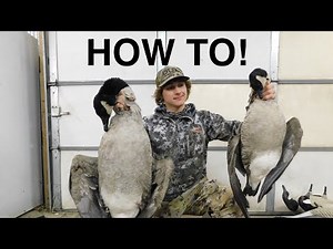 How to Clean a Goose! Lesser and Greater!