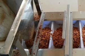 [Hot Item] Low Price Peanut Butter Making Machine Grinder