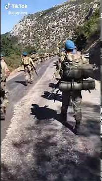 Busa harekat akımı