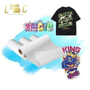 [Hot Item] Fast Delivery 60cm Durable Dtf Pet Film for High-Quality T-Shirt Transfers