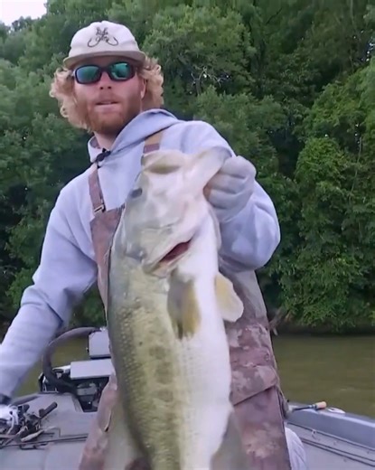 Banks Shaw At the MLF5 Tackle Warehouse Invitationals 2025 Stop 4 at Pickwick Lake | Tackle Warehouse