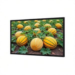 [Hot Item] 55 Inch Wall Mount Digital Signage Touch Screen Display