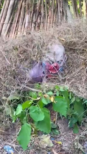 😂🤣😂 🤡🤡 #prank #ghost #funny #laugh #funnymoments #video #troll #laughs #funnyvideos #funnynotfunny #prankvideo | Scary Pranks