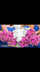 25K views · 182 reactions | Mirmengjesi miq 珞 Këngë Popullore Leskoviqare. Trendafil prej dimri. Këndojnë Jorgji Duro & Dhimitraq Joti | Muzikantët Shqiptarë | Facebook