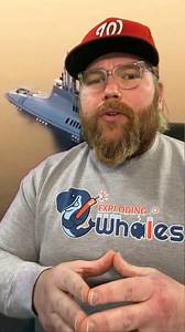 Migaloo aims to disrupt superyacht market with giant $2 billion customizable luxury submarine | Hard Factor