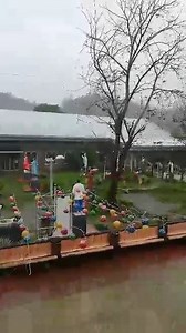 3.3K views · 24 reactions | WATCH: Strong winds and heavy rains are being experienced in Guinayangan, Quezon which is placed under Tropical Cyclone Wind Signal No. 3. The area is currently experiencing power outages while preemptive evacuation is being undertaken by the local government since Wednesday morning. | via Carmi Isles, RP1 Lucena (Video courtesy of: Odick Marbella) #UlyssesPH | Philippine News Agency | Facebook