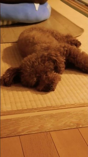 充電中でも顔はお母さんの方を向いてる(笑)