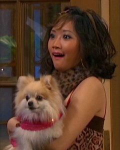 46K views · 979 reactions | Something tells us that dog is going to be a star... idk maybe it's her voice  . . . : The Suite Life of Zack & Cody | Disney Channel | Facebook