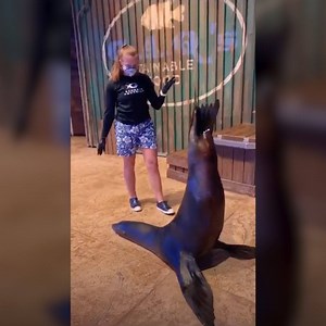 This sea lion has definitely passed the vibe check 😍 | Yahoo Lifestyle Australia