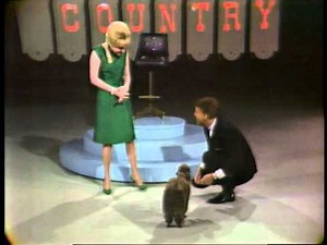 Molly Bee's Poodle - Swingin Country 1966