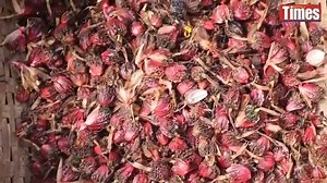 2.4K views · 50 reactions | Why is this spice found only in the...